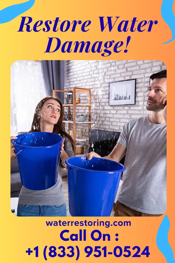 water restoration Quality Flood Inc Olivia