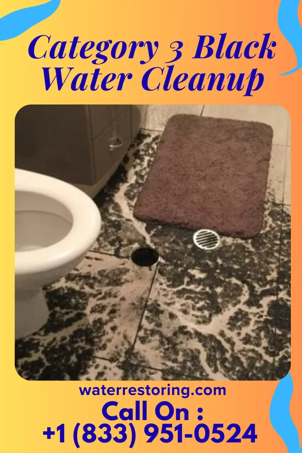 Category 3 Black Water Cleanup in Olivia, PA