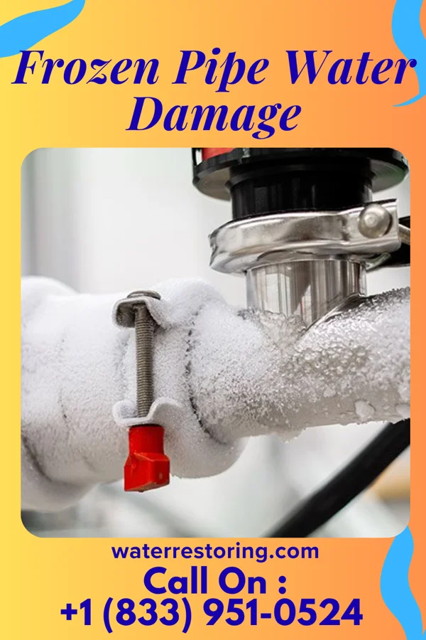 Frozen Pipe Water Damage in Olivia, PA