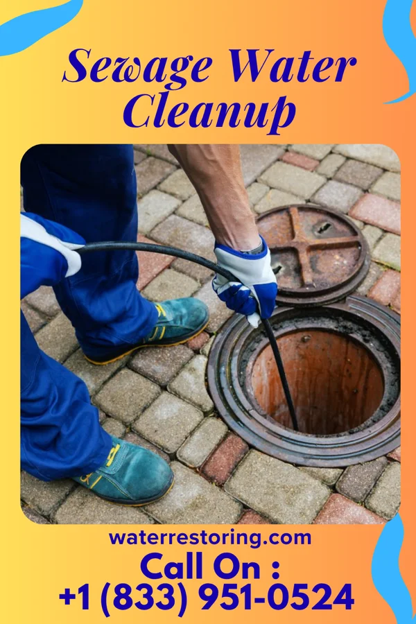 Sewage Water Cleanup in Olivia, PA