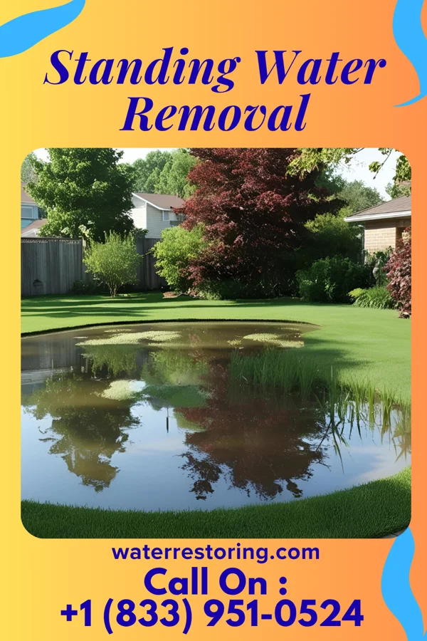 Standing Water Removal in Olivia, PA